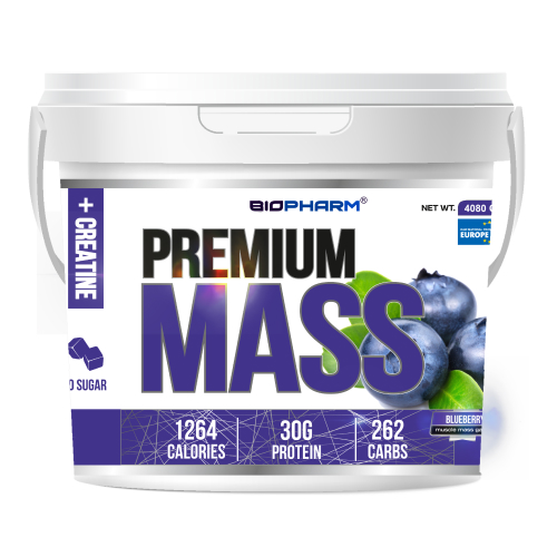 Premium Mass Gainer Черника 4080 г